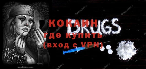 молекула духа Арсеньев