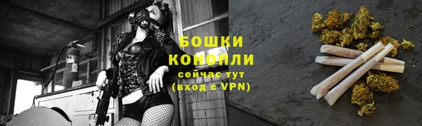 ГАЛЛЮЦИНОГЕННЫЕ ГРИБЫ Алзамай