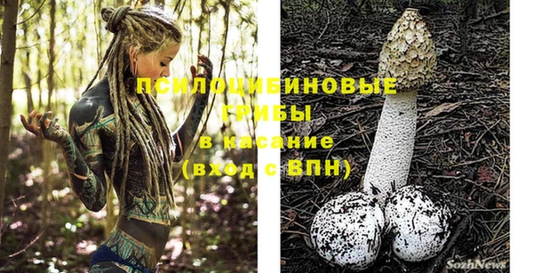 ГАЛЛЮЦИНОГЕННЫЕ ГРИБЫ Алзамай