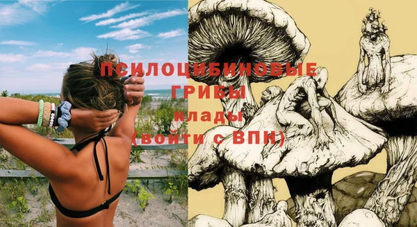 ГАЛЛЮЦИНОГЕННЫЕ ГРИБЫ Алзамай