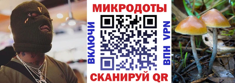 Галлюциногенные грибы мицелий  продажа наркотиков  Циолковский 